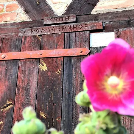 بيت للعطل Relaxing With View Of Stettin Lagoon *