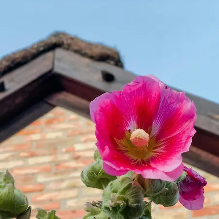 Ferienhaus Relaxing With View Of Stettin Lagoon *